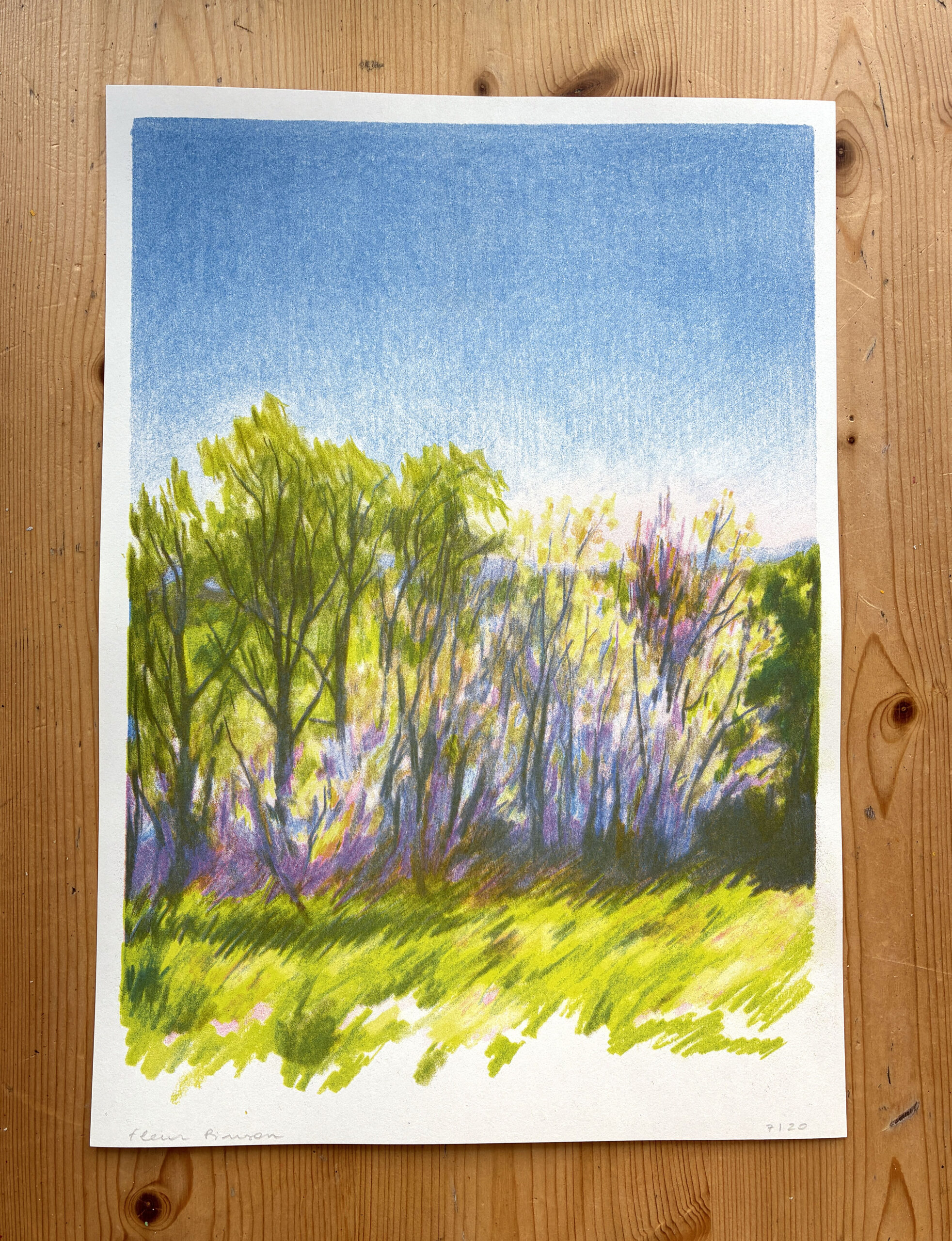 Poster A3 « Printemps » de Fleur Pinson 